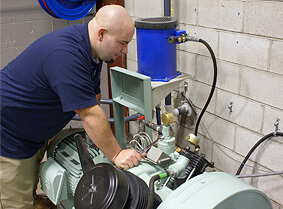 Employment Opportunites at Sauerusa