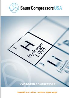 Hydrogen Brochure